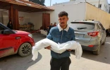 Un homme porte le corps d'un enfant tué dans un bombardement israélien, à l'hôpital Al-Ahli Arab de Gaza-ville, le 26 mars 2025