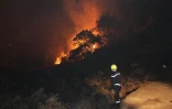 Mardi 25 octobre 2011
Incendie sur la route forestière du Tévelave