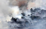 Vendredi 28 Octobre 2011
Incendie dans le massif du Maïdo