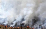 Vendredi 28 Octobre 2011

Incendie dans le massif du Maïdo