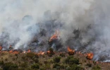 Vendredi 28 Octobre 2011

Incendie dans le massif du Maïdo