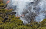 Vendredi 28 Octobre 2011

Incendie dans le massif du Maïdo