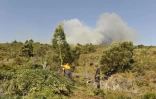 L'armée est engagée dans la lutte contre l'incendie du massif du Maïdo (Photo RSMA-Réunion)