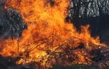 Dimanche 30 Octobre 2011

Incendie chemin Vaudeville.