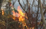 Dimanche 30 Octobre 2011

Incendie chemin Vaudeville.