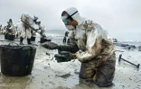 Des bénévoles tentent de nettoyer la plage de Nemina, en Espagne, après le nauffrage du Prestige, le 1er décembre 2002