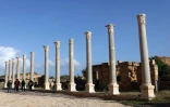 Des colonnes dans l'ancienne cité romaine de Leptis Magna, le 18 décembre 2016