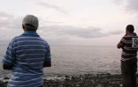Mercredi 7 décembre 2011 - Des témoins affirment avoir vu des requins à 10 mètres du bord au Barachois Saint-Denis
