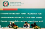 Le président du Ghana et président en exercice de la Communauté économique des Etats de l'Afrique de l'Ouest (Cédéao) Nana Akufo-Addo (C), lors d'un sommet extraordinaire de la Cédéao sur le Mali à Accra le 30 mai 2021