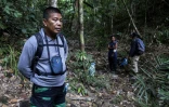 Le militant environnemental philippin Ruben Arzaga, le 23 février 2017 dans la forêt de Palawan. Membre du Palawan NGO Network Inc (PNNI), Ruben Arzaga a été abattu en septembre 2017 d'une balle dans la tête en s'approchant d'un site illégal d'abattage d'arbres dans la jungle philippine