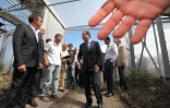 Dimanche 1er avril 2012 - François Hollande, candidat du PS pour la présidentielle, visite la ferme photovoltaïque du Gol à Saint-Louis (Photo www.image-reunion.re)