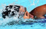 Dimanche 20 Mai 2012

Natation - Finales Avenir et Poussins