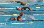Dimanche 20 Mai 2012

Natation - Finales Avenir et Poussins