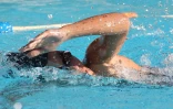Dimanche 20 Mai 2012

Natation - Finales Avenir et Poussins