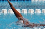 Samedi 26 Mai 2012


Natation  championnats inter-régionaux et Natathlon