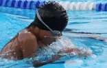 Samedi 26 Mai 2012


Natation  championnats inter-régionaux et Natathlon