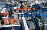 Au printemps, nouveau coup de colère, cette fois des marins de Boulogne-sur-Mer, premier port de pêche français, après la décision britannique d'interdire le chalutage de fond dans 13 zones marines protégées