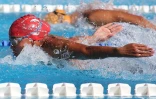 Dimanche 24 Juin 2012

 Championnats de La Réunion de natation