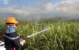 Mardi 3 juillet 20132 - Saint-Denis - Incendie dans des champs de cannes à Domenjod