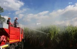 Mardi 3 juillet 20132 - Saint-Denis - Incendie dans des champs de cannes à Domenjod