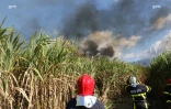 Mardi 3 juillet 20132 - Saint-Denis - Incendie dans des champs de cannes à Domenjod