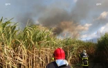 Mardi 3 juillet 20132 - Saint-Denis - Incendie dans des champs de cannes à Domenjod