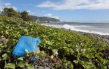 Déchets sur le sentier littoral Nord