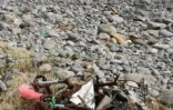 Déchets sur le sentier littoral Nord