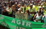 Jeudi 16 août 2012 - Manifestation des emplois verts devant la préfecture