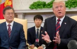Le président américain Donald Trump et son homologue sud-coréen Moon Jae-in lors d'une rencontre à la Maison Blanche, le 22 mai 2018 à Washington