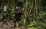 Des soldats du 9e Rima s'entraînent dans la jungle à Saint-Laurent du Maroni, en Guyane, le 20 octobre 2021