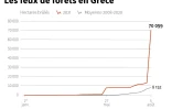 Les feux de forêts en Grèce