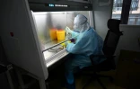 Un technicien manipule des échantillons dans un laboratoire de l'entreprise chinoise de biotechnologie Coyote, avant de les tester dans le Flash 20, une machine de dépistage rapide au nouveau coronavirus, le 27 septembre 2020 à Pékin 