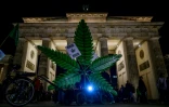 Une fausse feuille de cannabis géante est exposée devant la porte de Brandebourg à Berlin, le 31 mars 2024