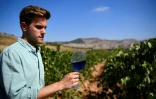 Aritz Lopez, l'un des fondateurs de Gik Live!, tient un verre du vin bleu produit par son entreprise, le 13 septembre 2018 Ă Maluenda, en Espagne