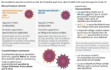 Variants du coronavirus