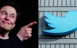 Elon Musk le 14 mars 2019 à Hawthorne, Californie, et le logo de Twitter