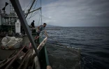 Des membres d'équipage de l'Itsas-Bellara récupèrent des déchets flottants au large de Saint-Jean-de-Luz, dans les Pyrénées-Atlantiques, le 8 septembre 2026