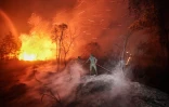 Des soldats et des pompiers s’emploient à maîtriser un incendie de forêt à Banjarbaru, dans la province de Kalimantan du Sud, en Indonésie, le 13 octobre 2026