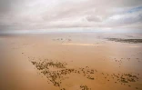 Les miraculés du stade de Buzi, au Mozambique, noyé par le cyclone