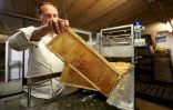 Un employé tient un rayon de miel à "La Ruche des Puys", à Saint-Ours, en Auvergne, le 20 août 2024