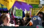 Une pancarte "Duplomb dans l'aile" d'un opposant à la loi Duplomb durant une manifestation contre l'usage des pesticides à Paris le 4 avril 2026