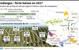 Vendanges 2017 : forte baisse