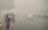 Brouillard de pollution, le 7 novembre 2017 à New Delhi, en Inde