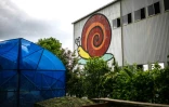 Une fresque murale devant l'élevage d'escargots de Bourgogne de Toshihide Takase à Matsusaka (centre du Japon) le 16 mai 2024