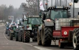 Des agriculteurs venus protester avec leurs tracteurs devant le Parlement européen contre le Mercosur le 21 janvier 2026, à Strasbourg