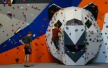 Un grimpeur escalade un mur du "Climbing Mulhouse Center", le 4 septembre 2020 à Mulhouse