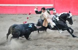 Le cavalier portugais Joao Soller Garcia plante une banderille inoffensive, terminée par un velcro, sur le dos d'un taureau, lors d'une corrida sans effusion de sang organisée le 10 juillet 2022 à Turlock (Californie)