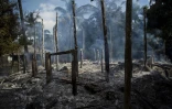 Des maisons incendiées dans un village à Warpait, dans l'Etat Rakhine, le 14 octobre 2016 en Birmanie