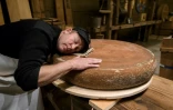 Le fromager Beat Wampfler pose sa tête sur une meule d'emmental dont l'affinage se déroule en musique, le 19 octobre 2018 à Berthoud, en Suisse